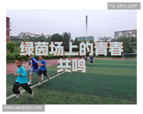 足球小队的团结与拼搏精神在绿茵场上的精彩表现与成长历程
